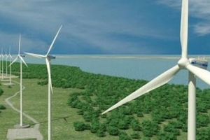 Thêm dự án điện gió ở Trà Vinh được chấp thuận đầu tư