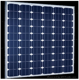 Tấm pin năng lượng mặt trời Poly 50W