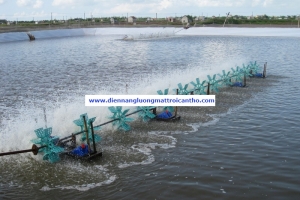 Nhà đầu tư đề xuất đầu tư dự án án nuôi trồng thủy sản công nghệ cao tại Quảng Trị
