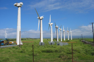 Trà Vinh chấp thuận các dự án điện gió gần 3.370 tỷ đồng